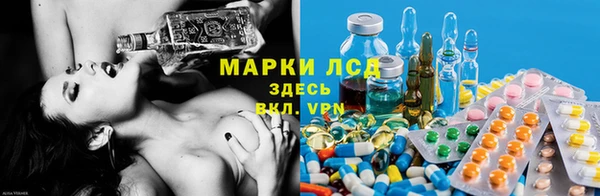 твердый Алексеевка