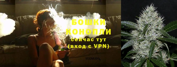 гидра Абаза