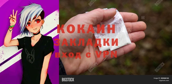 гидра Абаза