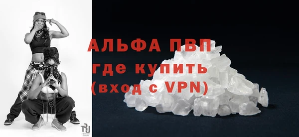 гидра Абаза