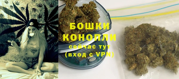 гидра Абаза