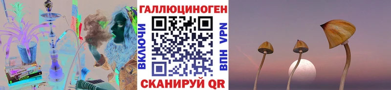 Галлюциногенные грибы Psilocybe  даркнет как зайти  Нижняя Салда  магазин  наркотиков 